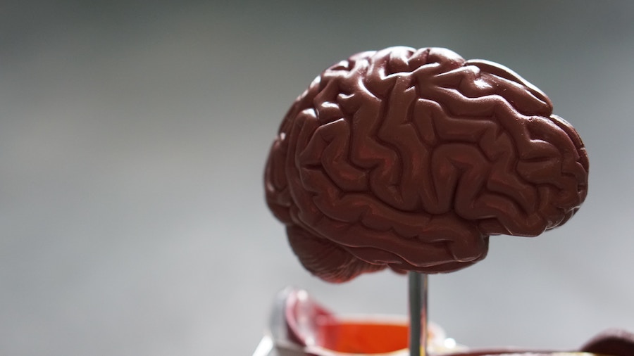 Improve your memory brain