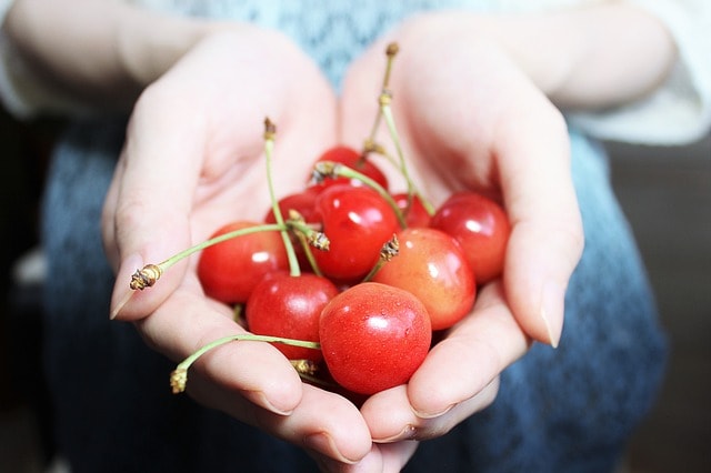 Hands holding several cherries.