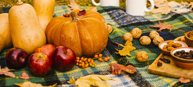 an array of fall food.