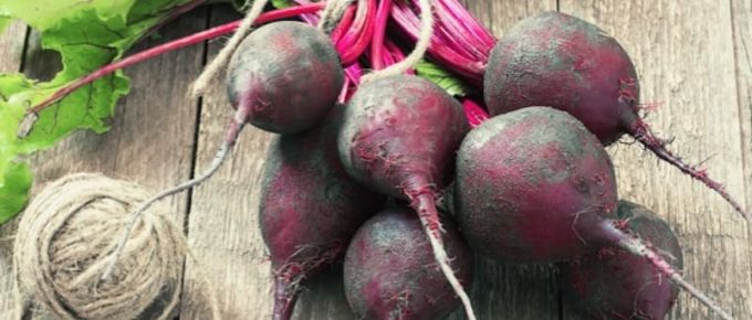Beet Is The New Power Food For Your Health